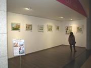 Vista general de la exposición de pinturas de Novais y Pilar Fandiño en "Espacio Cultura", de Espacio Coruña. Enero 2012.